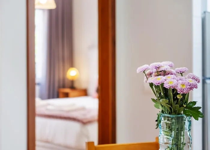 アパート Imperatriz Ii - By Wehost フンシャル